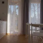 I Osinscy Lägenhet *