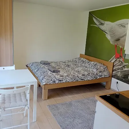 I Osinscy Apartment Braniewo