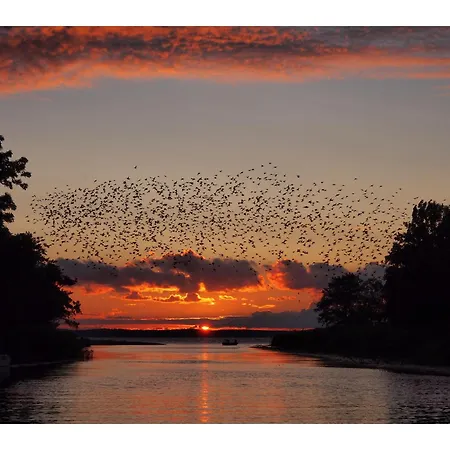 I Osinscy Appartement Braniewo