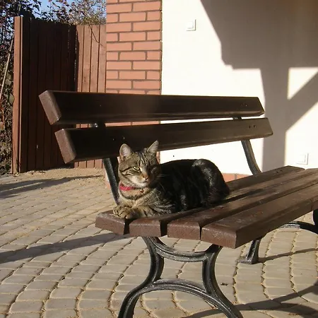 I Osinscy Appartement Braniewo