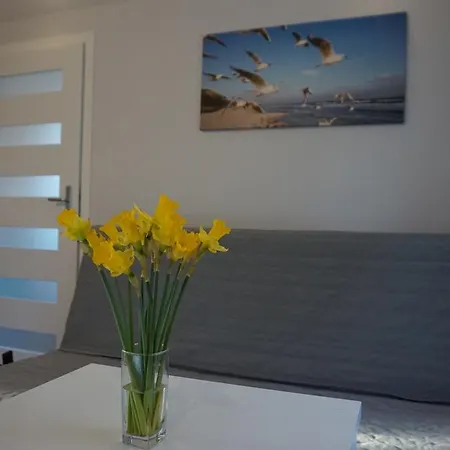 Apartment I Osinscy *