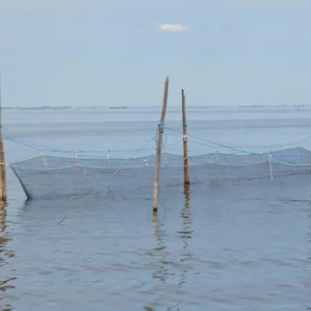 Appartement I Osinscy *